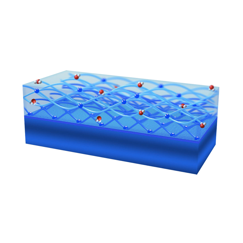 Hydrophilic Lubricious Coating image
